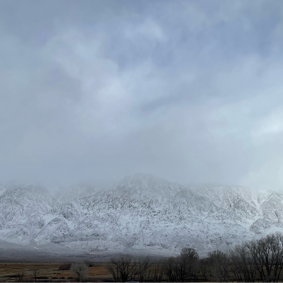 🌺 Bookmark My Closet! - Picture 3 of 5